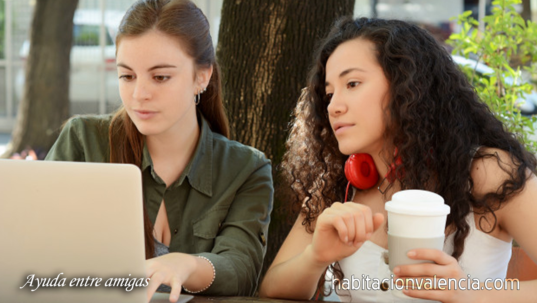 alquiler habitacion valencia PoetaAyuda